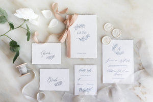 Toinette, blush silk ribbon